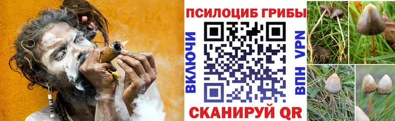 Галлюциногенные грибы MAGIC MUSHROOMS  Купить где  Харовск